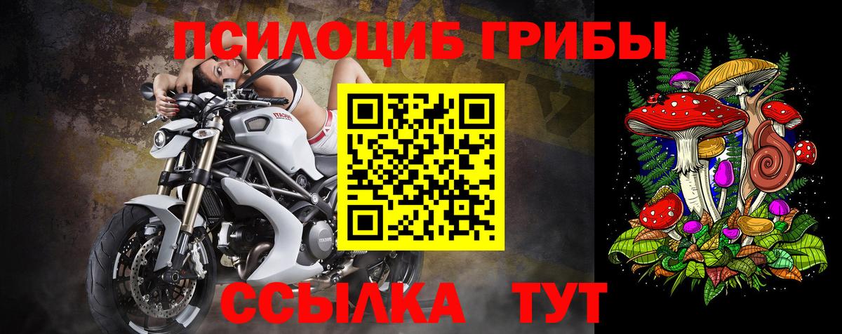 Кашира  Псилоцибиновые грибы GOLDEN TEACHER  Вход с VPN 
