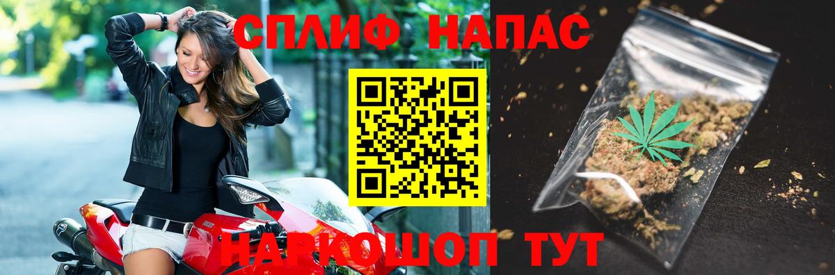 Каннабис OG Kush Кашира
